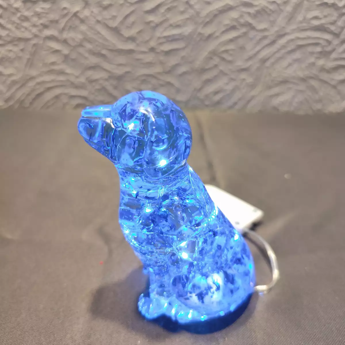 Chien lumineux
