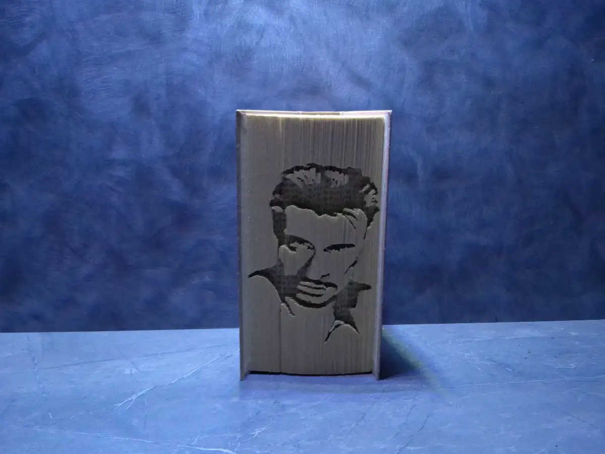 Johnny Hallyday. Livre plié et découpé à la main