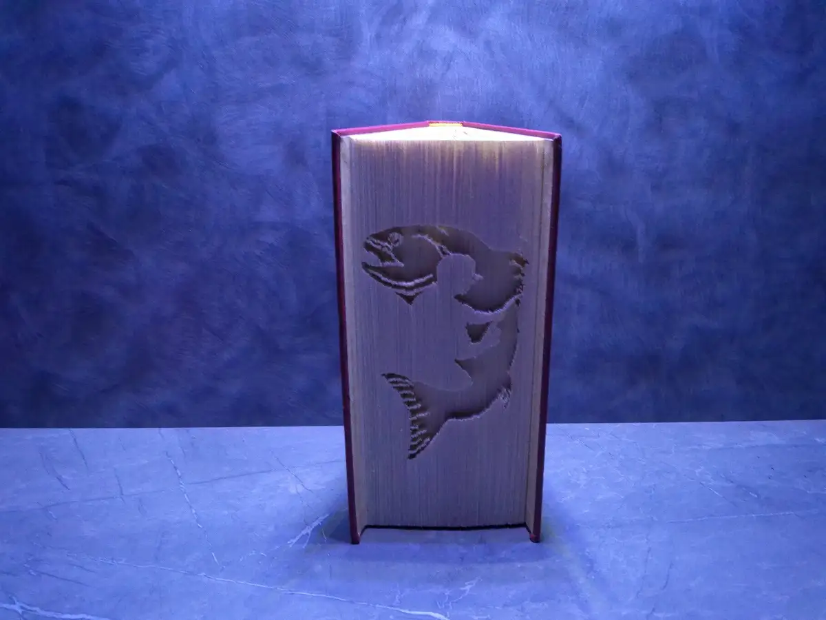 Poisson et Pêcheur. Livre plié et découpé à la main